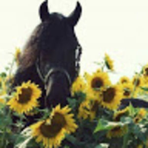 Meet your Posher, Dariela